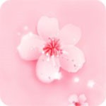 野花视频在线观看全集版