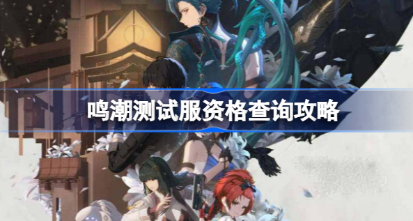 鸣潮测试服资格怎么查询 鸣潮测试服资格查询方法一览