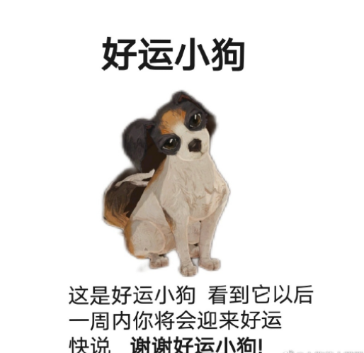 小狗是什么意思网络用语-谢谢小狗是什么意思