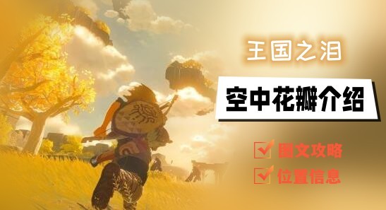塞尔达传说王国之泪空中花瓣岛在哪攻略