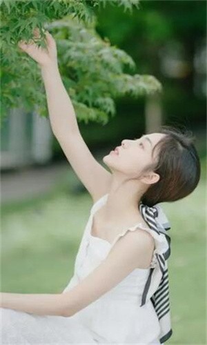 5178tv软件下载入口最新版