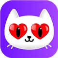 成全视频在线观看免费中文版