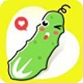 十八款夜间禁用软件app下载安卓版