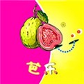粉色视频播放器下载入口