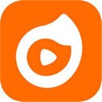 小蝌蚪视频播放器下载安装