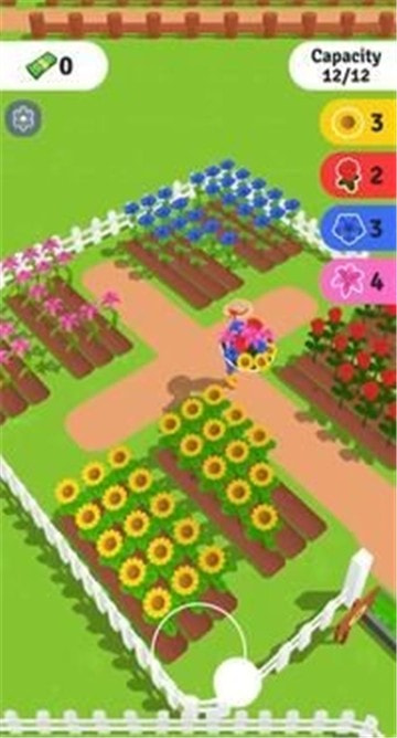 花的浪漫Flower Romance2