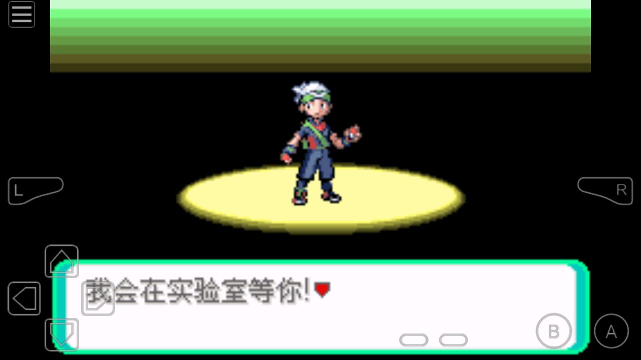 口袋妖怪rogue0